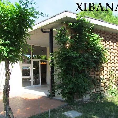 Xibana 비비오네